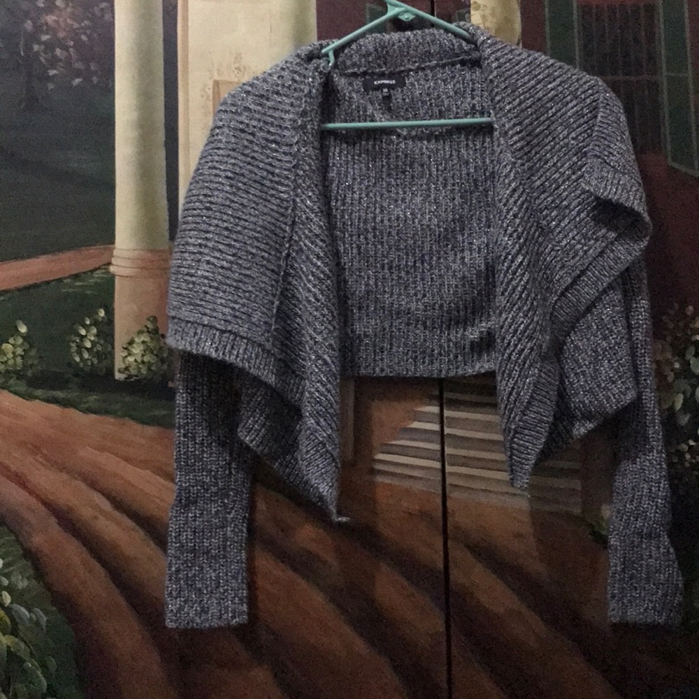 Sparkly Gray Express cardigan